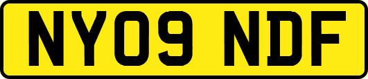 NY09NDF
