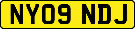 NY09NDJ