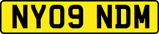NY09NDM