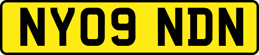 NY09NDN