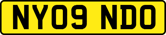 NY09NDO