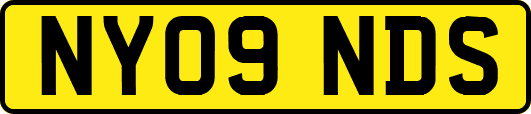NY09NDS