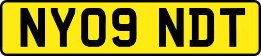 NY09NDT