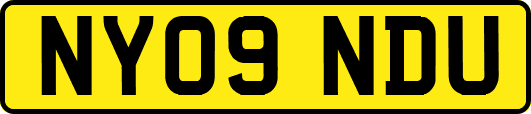 NY09NDU