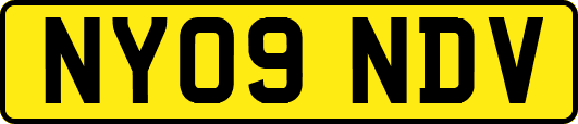 NY09NDV