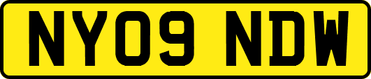 NY09NDW