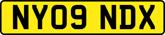 NY09NDX