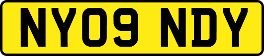 NY09NDY