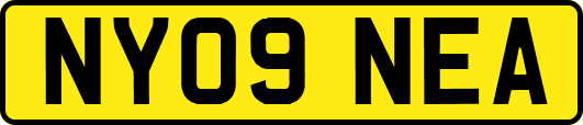 NY09NEA