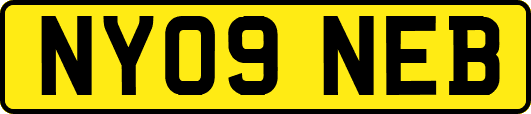 NY09NEB