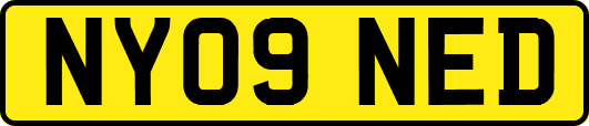 NY09NED