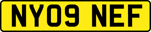 NY09NEF