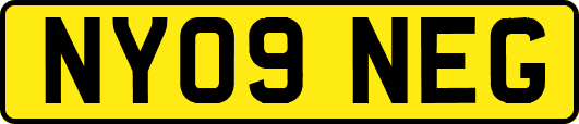 NY09NEG