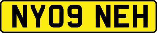 NY09NEH