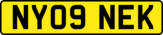 NY09NEK