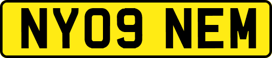 NY09NEM