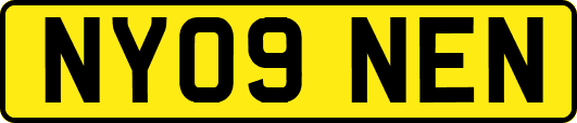 NY09NEN