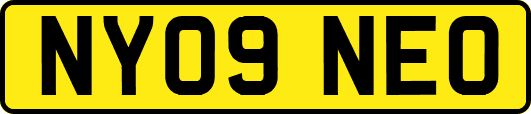 NY09NEO