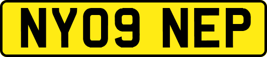 NY09NEP