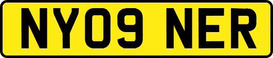 NY09NER