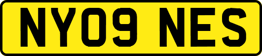 NY09NES