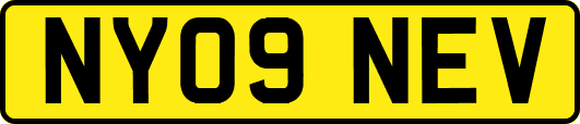 NY09NEV