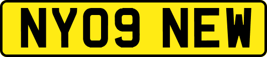 NY09NEW