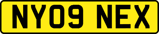 NY09NEX