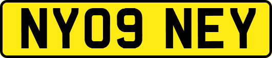 NY09NEY