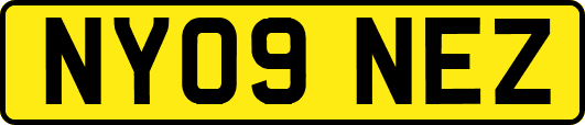 NY09NEZ