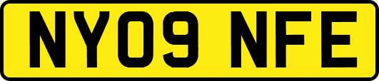 NY09NFE