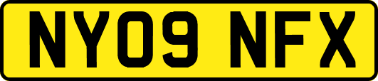 NY09NFX