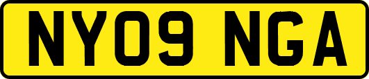 NY09NGA