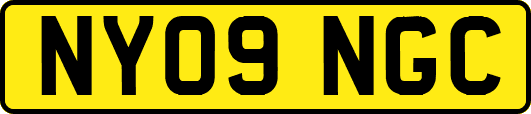 NY09NGC