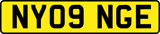 NY09NGE