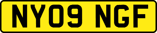 NY09NGF