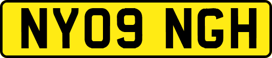NY09NGH