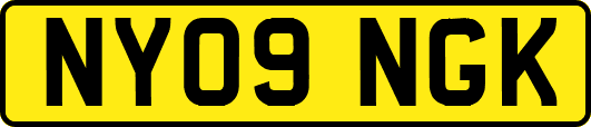 NY09NGK