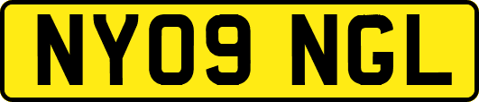NY09NGL