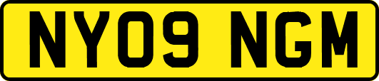 NY09NGM