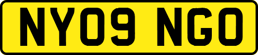 NY09NGO