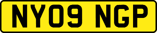 NY09NGP
