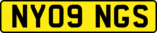 NY09NGS