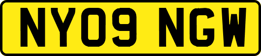 NY09NGW