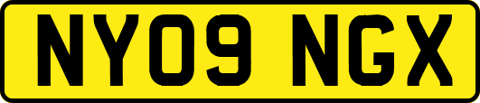 NY09NGX