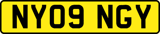 NY09NGY