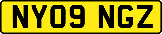 NY09NGZ