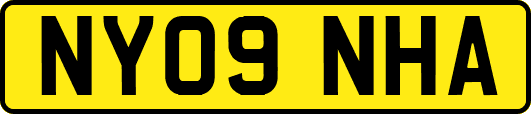 NY09NHA