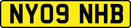 NY09NHB