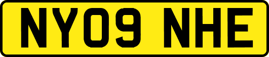 NY09NHE
